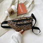 Fashion Personalized Leopard Print Women's Bag