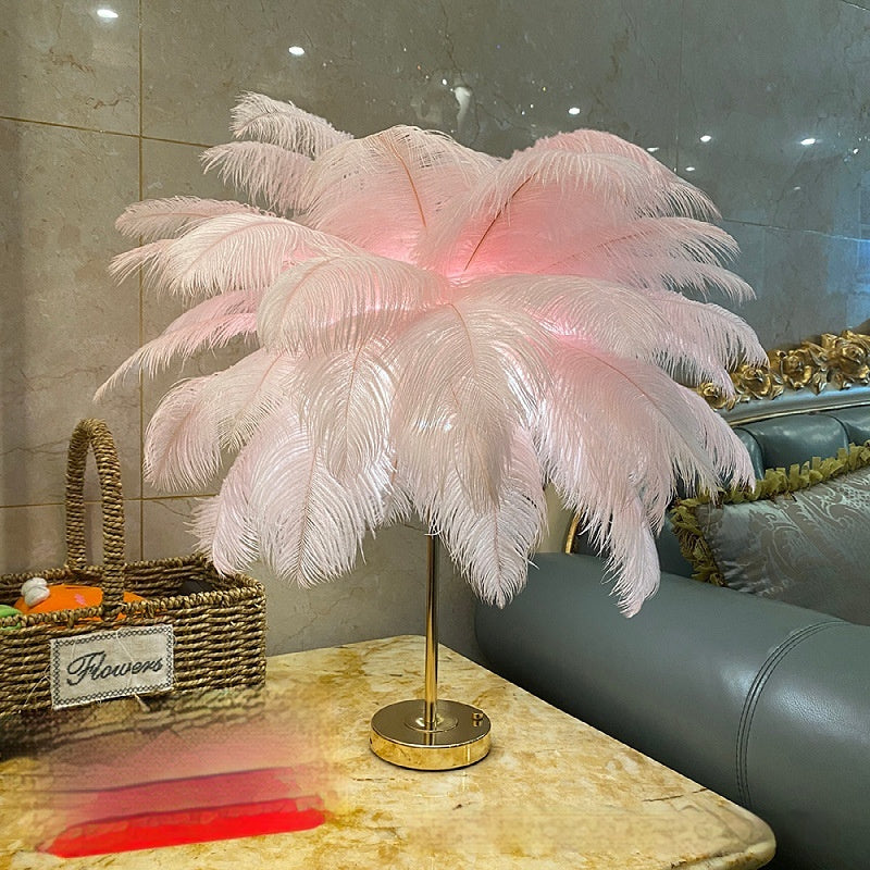 Natural Ostrich Feather Usb Charging Night Lamp Atmosphere Girls Bedroom Cozy True Feathers