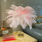 Natural Ostrich Feather Usb Charging Night Lamp Atmosphere Girls Bedroom Cozy True Feathers