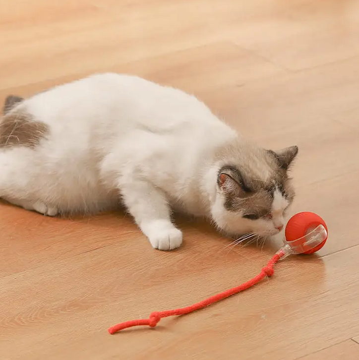 Smart Rechargeable Cat Toy Ball – Automatic Teasing & Pet-Friendly Design