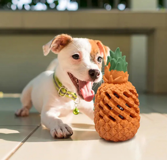 Pineapple Rubber Dog Chew Toy – Play & Teeth Cleaning